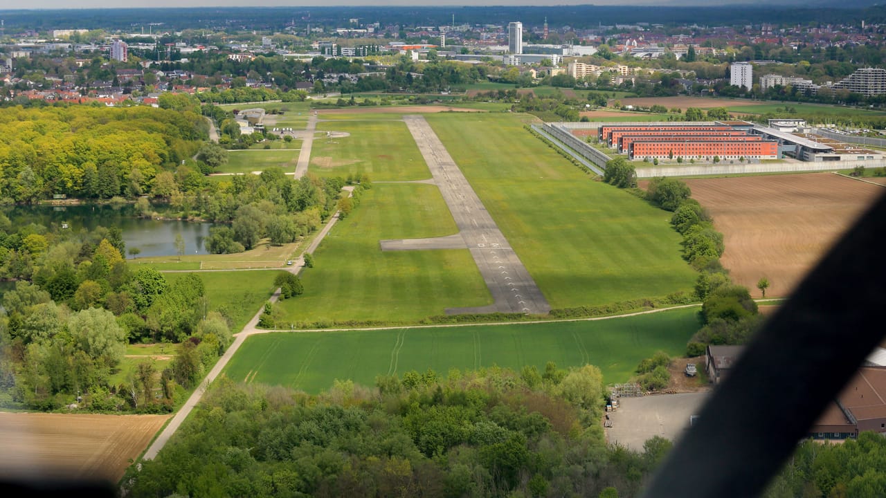 Blumenwiese am Flugplatz Offenburg